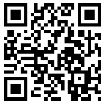 the qr code